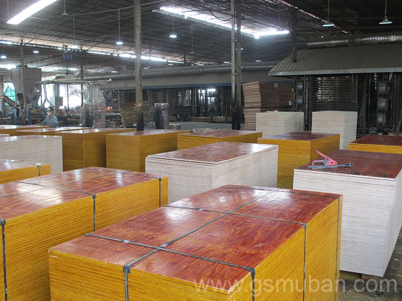 2025年建筑木模板行業新趨勢！