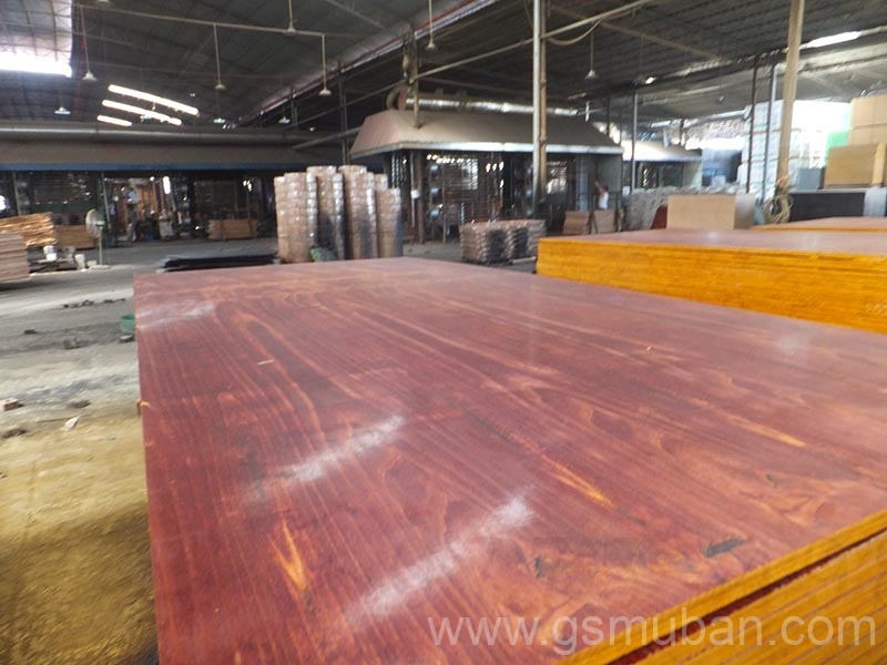 什么是桉木模板?廣西模板廠家推薦 什么是桉木模板?廣西模板廠家推薦