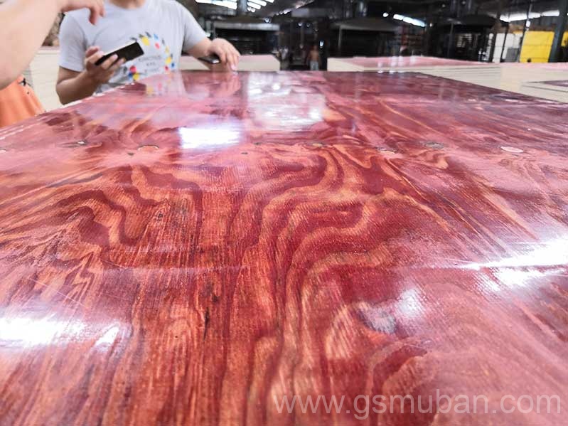 2025年建筑模板市場分析：機遇與挑戰并存！